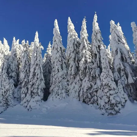 公寓 Irina - 15 Lux *