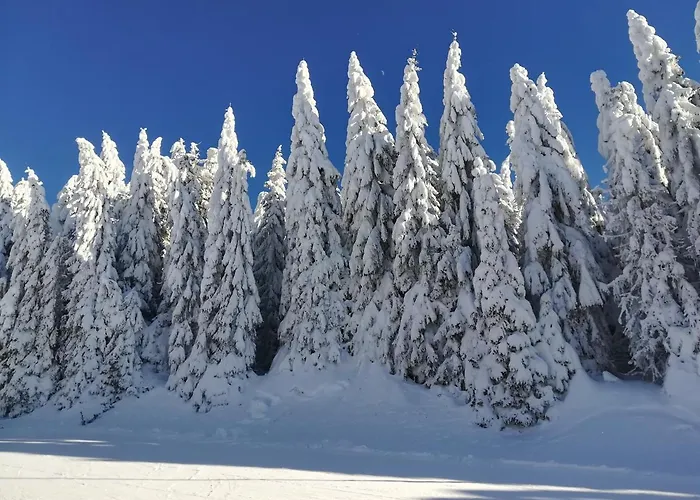 Апартаменты Irina - 15 Lux *